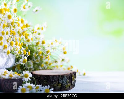 Svuotare il ceppo di albero con fiori margherita sul piano del tavolo di legno. Bacheca vuota per il posizionamento del prodotto. Foto Stock