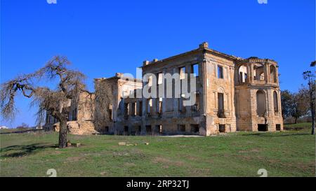 La foto mostra le rovine del vecchio palazzo-tenuta del Dibetsky-Pankeyevs chiamato il Lair del lupo nella regione di Odessa, il villaggio di Vasilyevka. Foto Stock