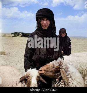 Ritratto di una donna beduina con pecora in Siria intorno al 1950. Fotografo: Willem van de poll Foto Stock