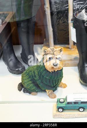 Un cane Yorkshire Terrier in ceramica vestito con un cappotto di lana verde accanto a stivali in gomma e un'auto giocattolo nella finestra di un negozio. Foto Stock
