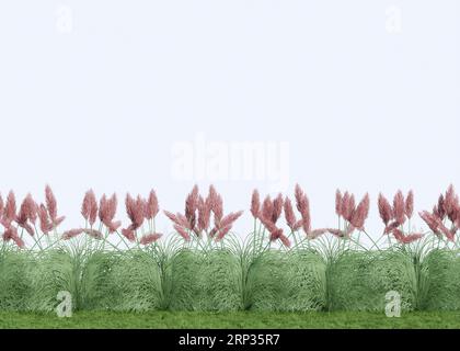 fiori, cornici, bordi, piante, piante verdi, erba grande, erba verde, fiore d'erba, mockup, sfondo bianco, sfondo bianco Foto Stock