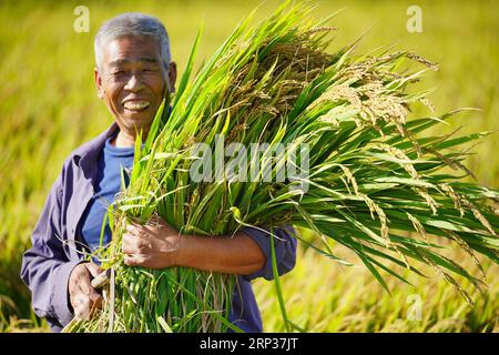 (180923) -- TANGSHAN, 23 settembre 2018 -- l'agricoltore Jin Yuzhu mostra i nuovi ricci raccolti nel villaggio di Xichangtuo nella contea di Luanxian, nella provincia di Hebei nella Cina settentrionale, 23 settembre 2018. La gente di tutta la Cina festeggia il primo Farmers Harvest Festival, che cade il 23 settembre di quest'anno. ) (xmc) CHINA-HEBEI-LUANXIAN-HARVEST-FESTIVAL (CN) MuxYu PUBLICATIONxNOTxINxCHN Foto Stock