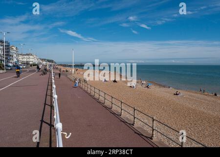 Vista generale delle spiagge che circondano il molo di Hastings, East Sussex, Regno Unito. Foto Stock