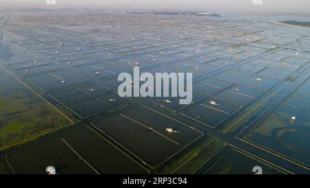 (180930) -- SUZHOU, 30 settembre 2018 -- foto aerea scattata il 29 settembre 2018 mostra l'area di coltivazione di granchi pelosi sul lago Yangcheng presso Bacheng Township, Kunshan City, provincia di Jiangsu nella Cina orientale. Ji Jiang, nato nel 1966, è un coltivatore di granchi pelosi del lago Yangcheng nella città di Bacheng di Jiangsu. Essendo stato nel commercio per 15 anni, ha accumulato esperienza nella coltivazione di granchi pelosi ed è diventato famoso a Bacheng. Grazie alla buona qualità dell'acqua del lago Yangcheng, i granchi pelosi possiedono un buon gusto e un'alta nutrizione. Ogni anno, un gran numero di granchi viene venduto alle città di tutta la Cina Foto Stock