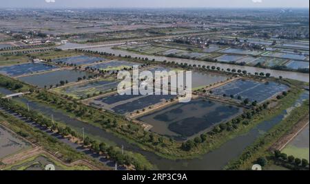 (180930) -- SUZHOU, 30 settembre 2018 -- foto aerea scattata il 29 settembre 2018 mostra allevamenti ittici sul lago Yangcheng presso Bacheng Township, Kunshan City, provincia di Jiangsu nella Cina orientale. Ji Jiang, nato nel 1966, è un coltivatore di granchi pelosi del lago Yangcheng nella città di Bacheng di Jiangsu. Essendo stato nel commercio per 15 anni, ha accumulato esperienza nella coltivazione di granchi pelosi ed è diventato famoso a Bacheng. Grazie alla buona qualità dell'acqua del lago Yangcheng, i granchi pelosi possiedono un buon gusto e un'alta nutrizione. Ogni anno, un gran numero di granchi viene venduto a città in tutta la Cina come Pechino, Shangh Foto Stock