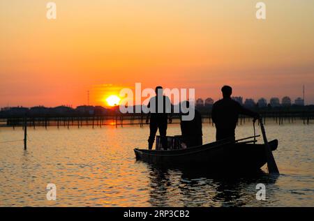 (180930) -- SUZHOU, 30 settembre 2018 -- il coltivatore di granchi Ji Jiang e altri membri del personale catturano granchi pelosi nella base di coltivazione di Ji S sul lago Yangcheng presso Bacheng Township, Kunshan City, provincia di Jiangsu della Cina orientale, 29 settembre 2018. Ji Jiang, nato nel 1966, è un coltivatore di granchi pelosi del lago Yangcheng nella città di Bacheng di Jiangsu. Essendo stato nel commercio per 15 anni, ha accumulato esperienza nella coltivazione di granchi pelosi ed è diventato famoso a Bacheng. Grazie alla buona qualità dell'acqua del lago Yangcheng, i granchi pelosi possiedono un buon gusto e un'alta nutrizione. Ogni anno, un gran numero di granchi Foto Stock