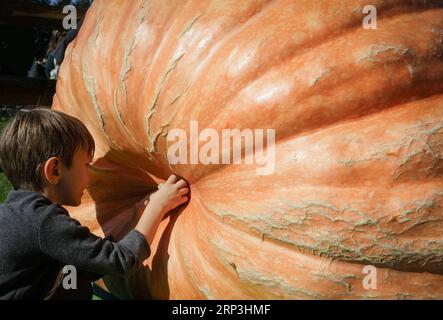 USA, Riesen-Kürbis Wettbewerb in Langley (181007) -- LANGLEY, 7 ottobre 2018 -- A child takes A close look on a Giant Pumpkin during the Giant Pumpkin Weigh-Off Event in Langley, Canada, 6 ottobre 2018. ) (wtc) CANADA-LANGLEY-GIANT PUMPKIN WEIGH-OFF EVENT LiangxSen PUBLICATIONxNOTxINxCHN Foto Stock