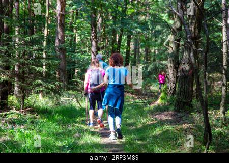 Gruppo di escursionisti nella foresta del Palatinato sulla strada per il rifugio Heller Foto Stock