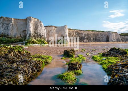 Vista panoramica delle bianche scogliere sulla spiaggia di Botany Bay a Broadstairs, Inghilterra Foto Stock