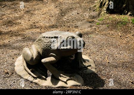 Scultura di animali in legno intagliato come installazioni artistiche a Bute Park, Cardiff - rana gigante su un giglio Foto Stock