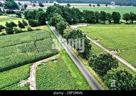 Vista aerea di una strada asfaltata con una fila ordinata di alberi dietro un campo intensamente utilizzato, desaturato Foto Stock