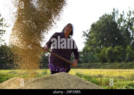 (181015) -- PECHINO, 15 ottobre 2018 -- Un agricoltore lavora nel campo nel villaggio di Xiaogang, nella contea di Fengyang, nella provincia di Anhui della Cina orientale, il 27 settembre 2018. ) (Sxk) Xinhua titoli: Povertà e orgoglio: Il villaggio che ha scosso una nazione LiuxJunxi PUBLICATIONxNOTxINxCHN Foto Stock