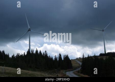 Due turbine eoliche con nuvole scure sullo sfondo e pini in primo piano Foto Stock