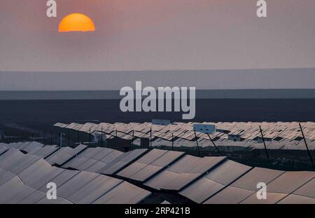 (181022) -- URUMQI, 22 ottobre 2018 -- foto scattata il 18 settembre 2018 mostra una centrale fotovoltaica a Turpan, nella regione autonoma di Xinjiang Uygur della Cina nord-occidentale. Lo Xinjiang ha visto un aumento della produzione di elettricità da energia pulita. Secondo State Grid Xinjiang Electric Power Co., Ltd., l'energia eolica e solare ha generato rispettivamente 27,81 miliardi e 9,07 miliardi di kilowattora (kwh) di elettricità nei primi nove mesi del 2018 nella regione. Con abbondanti risorse eoliche e solari, lo Xinjiang è un pioniere nell'utilizzo di nuova energia in Cina, con una capacità di nuova energia installata che ha superato i 27 millio Foto Stock