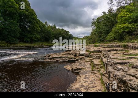 Aysgarth Falls nel North Yorkshire, dove è stato registrato Robin Hood Film Foto Stock
