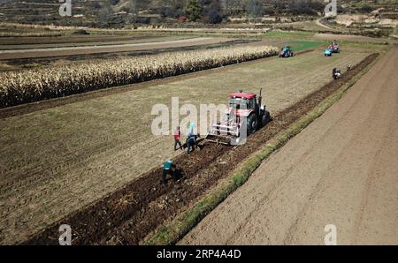 (181101) - WEIYUAN, 1 novembre 2018 -- gli agricoltori raccolgono erbe nel villaggio di Hejiawan della contea di Weiyuan, provincia del Gansu della Cina nord-occidentale, 1 novembre 2018. La produzione di fitoterapie cinesi nella provincia di Gansu, con una superficie totale di impianto di 4,6 milioni di mu (310.000 ettari), dovrebbe raggiungere i 1,2 milioni di tonnellate nel 2018. Gli agricoltori di più di 1.300 villaggi in povertà hanno beneficiato della piantagione di erbe. ) (Hxy) CHINA-GANSU-WEIYUAN-CHINESE HERBAL MEDICINE (CN) ChenxBin PUBLICATIONxNOTxINxCHN Foto Stock