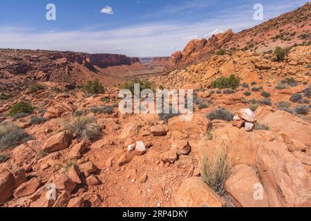 escursioni lungo il percorso ad anello della syncline nell'isola, nel quartiere cielo del parco nazionale di canyonlands nello utah, usa Foto Stock