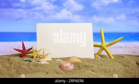 Vacanze estive. Seashell, stella marina vuota carta bianca sulla spiaggia sabbiosa. Carta bianca, acqua di mare, sole, cielo blu. Copia spazio Foto Stock