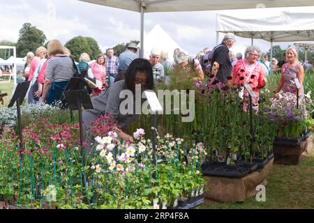 La seconda fiera autunnale mondiale dei giardinieri ad Audley End House and Gardens, Saffron Walden, Essex. I visitatori ammirano un'esposizione di fiori. Foto Stock