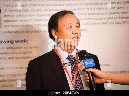 (181115) - CAIRO, 15 novembre 2018 - Zhang Zhenzhong, presidente della China Ambulatory Surgery Alliance, riceve un'intervista durante l'Expo commerciale Egitto-Cina al Cairo, in Egitto, il 15 novembre 2018. Il secondo Expo commerciale e degli investimenti Egitto-Cina e il Forum di cooperazione Cina-Egitto Belt and Road, hanno avuto inizio giovedì al Cairo. ) EGITTO-CAIRO-CINA-EXPO PER INVESTIMENTI E SCAMBI COMMERCIALI WUXHUIWO PUBLICATIONXNOTXINXCHN Foto Stock