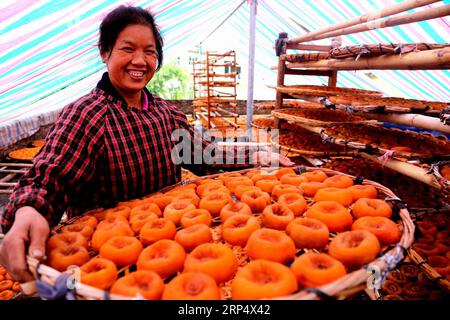 (181119) -- GUILIN, 19 novembre 2018 -- Villager Peng Meiying airs persimmon fruit at Zhujiatun Village of Pingle County, Guangxi Zhuang Autonomous Region, Cina meridionale, 17 novembre 2018. Il raccolto di 40.000-kg di frutti di cachi dovrebbe creare il reddito di oltre 30.000 yuan (4.321 dollari USA) per la famiglia Peng S quest'anno. ) (Ry) CINA-GUANGXI-PINGLE-CACHI RACCOLTO (CN) WangxZichuang PUBLICATIONxNOTxINxCHN Foto Stock