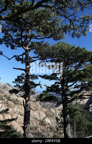 (181120) -- PYONGYANG, 20 novembre 2018 -- foto scattata il 9 novembre 2018 mostra il paesaggio dell'area panoramica del Monte Kumgang. Un evento congiunto nord-sud di due giorni si è concluso domenica nella zona speciale per il tour internazionale del Monte Kumgang nella parte sud-orientale della Repubblica Popolare Democratica di Corea (RPDC) per celebrare il 20° anniversario del programma turistico del Monte Kumgang. (Ry) RPDC-COREA DEL SUD-MOUNT KUMGANG-ANNIVERSARY ChengxDayu PUBLICATIONxNOTxINxCHN Foto Stock