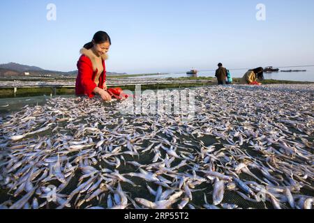 (181129) -- JIUJIANG, 29 novembre 2018 (Xinhua) -- i pescatori seccano le acciughe di lago sul lato del lago Poyang vicino all'isola di Yinshan nella contea di Duchang, nella provincia orientale dello Jiangxi della Cina, 28 novembre 2018. Gli acquacoltori locali trasformano il pesce in prodotti essiccati all'aria per la vendita sul mercato invernale. (Xinhua/fu Jianbin) (gxn) CHINA-JIANGXI-FISHERY-PRODUCTION (CN) PUBLICATIONxNOTxINxCHN Foto Stock