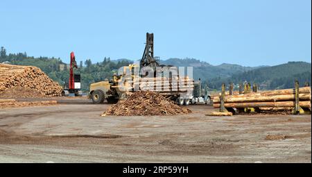 Carrelli elevatori che scaricano tronchi Coastal Douglas Fir 'Pseudotsuga menziesii' dal camion di trasporto, Oregon. Foto Stock