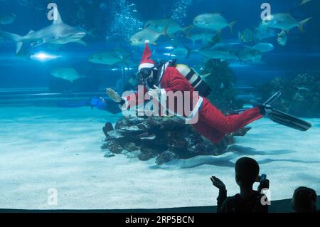(181207) -- BUDAPEST, 7 dicembre 2018 -- Un subacqueo vestito come Babbo Natale onda i visitatori in una vasca di pesci del Tropicarium a Budapest, in Ungheria, 6 dicembre 2018. Il Babbo Natale subacqueo fa parte della celebrazione di Natale. ) (mp) UNGHERIA-BUDAPEST-DIVING SANTA AttilaxVolgyi PUBLICATIONxNOTxINxCHN Foto Stock