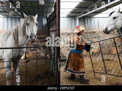 (181209) -- PECHINO, 9 dicembre 2018 -- il proprietario di un ranch di cavalli controlla i cavalli a Dong Ujimqin Qi di Xilin Gol, regione autonoma della Mongolia interna della Cina settentrionale, 6 dicembre 2018. ) XINHUA PHOTO WEEKLY CHOICES liuxlei PUBLICATIONxNOTxINxCHN Foto Stock