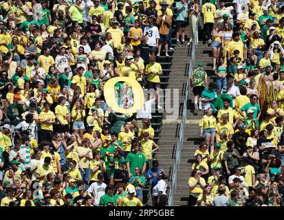 Autzen Stadium, Eugene, OR, USA. 2 settembre 2023. I tifosi dell'Oregon sfidano la grande o per la prima partita di football NCAA della stagione per i Ducks, quando ospitano i vicini Portland State Vikings all'Autzen Stadium, Eugene, OREGON. Larry C. Lawson/CSM/Alamy Live News Foto Stock