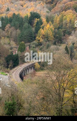 Bosco naturale e deciduo che cresce sulle ripide pendici della gola di Ironbridge, Telford, Shropshire, Inghilterra. Foto Stock