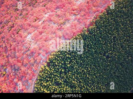 (181219) -- PECHINO, 19 dicembre 2018 (Xinhua) -- foto aerea scattata il 31 ottobre 2018 mostra lo scenario del monte Xiezi a Jinan, capitale della provincia dello Shandong della Cina orientale. I colori rendono il nostro mondo luminoso e bello. Nel 2018, i fotografi di Xinhua in tutta la Cina hanno esplorato le viste dal cielo con i droni. Ecco queste foto con droni dai colori incredibili. (Xinhua/Zhu Zheng) CHINA-COLOR-DRONE PHOTOS OF THE YEAR (CN) PUBLICATIONxNOTxINxCHN Foto Stock