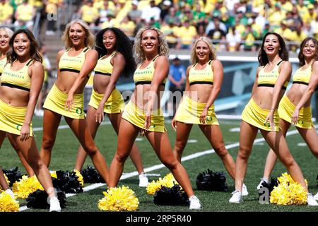 Autzen Stadium, Eugene, OR, USA. 2 settembre 2023. Le cheerleader dell'Oregon intratterranno i tifosi durante la prima partita di football NCAA della stagione per i Ducks quando hanno accolto i vicini Portland State Vikings all'Autzen Stadium, Eugene, OREGON. Larry C. Lawson/CSM/Alamy Live News Foto Stock