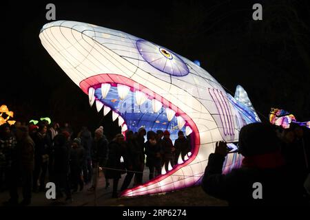 (181231) -- NEW YORK, 31 dicembre 2018 (Xinhua) -- la gente vede le lanterne cinesi durante il Winter Lantern Festival per accogliere l'avvicinarsi del nuovo anno a Staten Island di New York, Stati Uniti, 30 dicembre 2018. (Xinhua/Wang Ying) U.S.-NEW YORK-WINTER LANTERN FESTIVAL PUBLICATIONxNOTxINxCHN Foto Stock