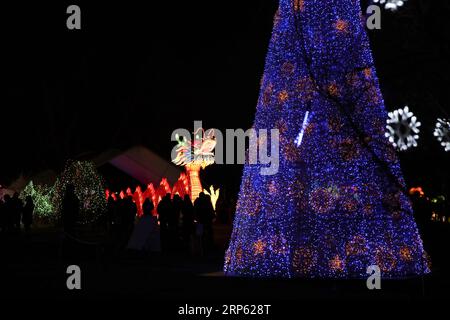 (181231) -- NEW YORK, 31 dicembre 2018 (Xinhua) -- le Lanterne sono viste durante il Winter Lantern Festival per accogliere l'avvicinarsi del nuovo anno a Staten Island di New York, Stati Uniti, 30 dicembre 2018. (Xinhua/Wang Ying) U.S.-NEW YORK-WINTER LANTERN FESTIVAL PUBLICATIONxNOTxINxCHN Foto Stock