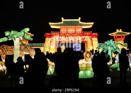 (181231) -- NEW YORK, 31 dicembre 2018 (Xinhua) -- la gente vede le lanterne cinesi durante il Winter Lantern Festival per accogliere l'avvicinarsi del nuovo anno a Staten Island di New York, Stati Uniti, 30 dicembre 2018. (Xinhua/Wang Ying) U.S.-NEW YORK-WINTER LANTERN FESTIVAL PUBLICATIONxNOTxINxCHN Foto Stock