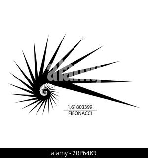 Cerchio di sequenza Fibonacci. Golden ratio. Forme geometriche a spirale. Spirale di lumaca. Conchiglia marina di triangoli neri. Modello logo a geometria sacra. Logaritmo Illustrazione Vettoriale