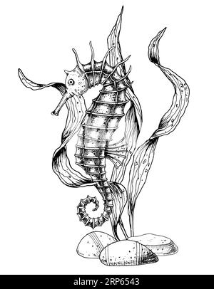 Composizione vettoriale con cavallucci marini e alghe marine su sfondo isolato. Illustrazione disegnata a mano di Sea Horse dipinta da inchiostri neri. Disegno di vita subacquea in stile line art. Flora e fauna marina. Illustrazione Vettoriale