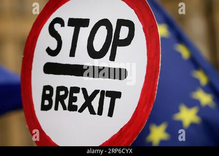 (190109) -- LONDRA, 9 gennaio 2019 (Xinhua) -- i manifestanti anti anti-Brexit tengono cartelli e bandiere d'onda fuori dalle camere del Parlamento a Londra, Gran Bretagna, il 9 gennaio. 2019. Il dibattito sulla Brexit del Regno Unito alla camera dei comuni sull'accordo proposto sui termini del ritiro del Regno Unito e sulle future relazioni con l'UE è iniziato mercoledì prima di una votazione prevista per il 15 gennaio. (Xinhua/Tim Ireland) BRITAIN-LONDON-BREXIT PUBLICATIONxNOTxINxCHN Foto Stock