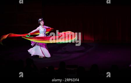 (190110) -- PECHINO, 10 gennaio 2019 (Xinhua) -- un'attrice si esibisce durante l'evento dal titolo "Enviving China: The Nine Splendid Forms of Chinese Traditional Art in Rome, Italy, 16 giugno 2018. Nel novembre 2013, il diciottesimo Comitato centrale del Partito Comunista Cinese tenne la sua terza sessione plenaria per concentrarsi sull'approfondimento completo delle riforme. Nei cinque anni successivi alla sessione, la Cina ha attuato una riforma del sistema culturale, inaugurando una nuova situazione di costruzione culturale socialista in una nuova era con una ferma fiducia culturale. (Xinhua/Jin Yu) CHINA-REFORM-CULTURAL CONFIDENCE(CN) PUBL Foto Stock