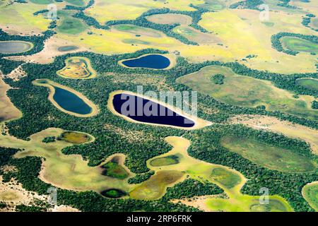 Stagione secca nella regione di Nhecolandia nello stato del Mato grosso, Brasile. Foto Stock