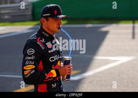 Monza, Italia. 2 settembre 2023. #1 Max Verstappen (NLD, Oracle Red Bull Racing), Gran Premio di F1 d'Italia all'autodromo Nazionale Monza il 2 settembre 2023 a Monza, Italia. (Foto di HIGH TWO) credito: dpa/Alamy Live News Foto Stock