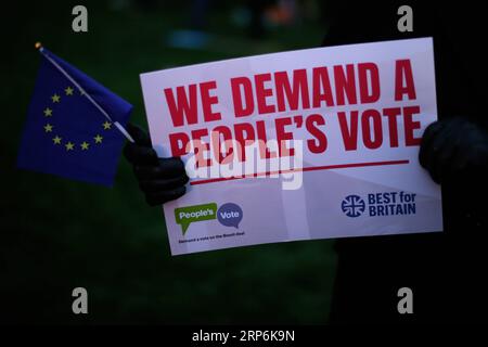 (190115) -- LONDRA, 15 gennaio 2019 -- Un manifestante tiene un cartello che chiede il voto del popolo fuori dalle camere del Parlamento a Londra, in Gran Bretagna, il 15 gennaio. 2019. Una votazione parlamentare ritardata sull'accordo Brexit è prevista per martedì. ) BRITAIN-LONDON-BREXIT-PROTEST TimxIreland PUBLICATIONxNOTxINxCHN Foto Stock