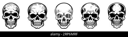 Teschi umani impostati. Sagome del cranio. Icone del cranio impostate. Raccolta di disegni teschi umani. Illustrazione vettoriale Illustrazione Vettoriale
