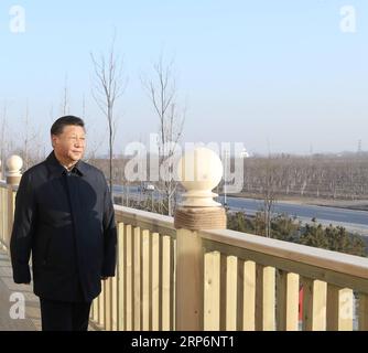 (190117) -- XIONGAN NEW AREA, 17 GENNAIO 2019 -- il presidente cinese Xi Jinping, anche segretario generale del Comitato centrale del Partito Comunista Cinese (CPC) e presidente della Commissione militare centrale, visita un sito forestale durante la sua ispezione nella nuova area di Xiongan, nella provincia di Hebei nella Cina settentrionale, 16 gennaio 2019. ) CHINA-HEBEI-XIONGAN-XI JINPING-INSPECTION (CN) JUXPENG PUBLICATIONXNOTXINXCHN Foto Stock