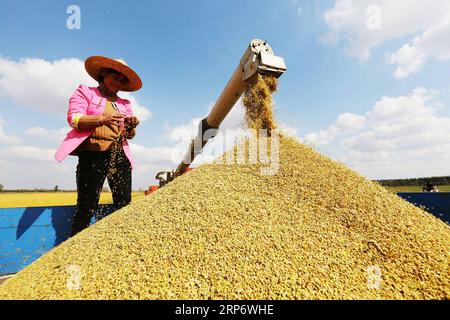 (190121) -- PECHINO, 21 gennaio 2019 (Xinhua) -- Farmer Sun Zongxia raccoglie riso a Linyi, provincia dello Shandong della Cina orientale, 21 ottobre 2018. (Xinhua/Zhang Chunlei) Xinhua titoli: L'economia cinese in vantaggio, raggiungendo 2018 obiettivi PUBLICATIONxNOTxINxCHN Foto Stock