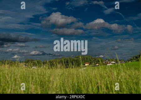 Colora i pascoli e i prati dell'Austria settentrionale con un cielo buio e ventoso Foto Stock