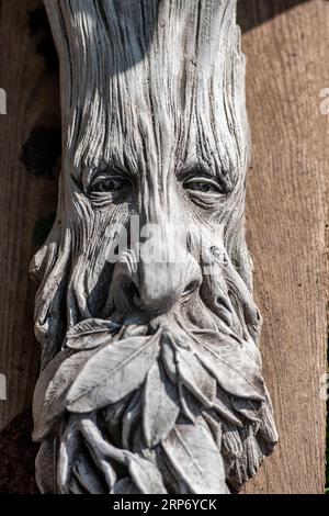 faccia da uomo verde scolpita in un albero. folklore e fantasia nei boschi. fiabe e folklore. uomo verde intaglio in legno. green man face carving. Foto Stock