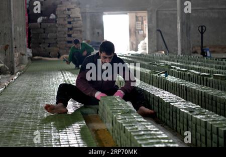 (190123) -- ALEPPO, 23 gennaio 2019 -- i lavoratori siriani organizzano le barrette di sapone d'oliva in una fabbrica alla periferia di Aleppo, Siria, 20 dicembre 2018. Per gli abitanti della città siriana di Aleppo, il sapone d'oliva non è solo una saponetta per lavarsi le mani o aggiungere un naturale luccichio ai capelli, ma anche uno dei loro orgogliosi e preziosi patrimoni. ANDARE CON LA CARATTERISTICA: I produttori di sapone di oliva si sono Uniti in solidarietà per rilanciare l'industria tradizionale in Siria S Aleppo ) SIRIA-ALEPPO-LIFE-OLIVE-SOAP-MAKING AmmarxSafarjalani PUBLICATIONxNOTxINxCHN Foto Stock